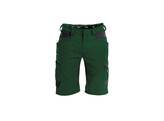 DASSY  Axis PESCO41 FL.GROEN/ZWART 46